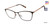 Black Brendel 902292 Eyeglasses.