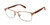 Mt Brown/Brown Sperry BAYVIEW Eyeglasses.