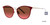 Scarlet Vera Wang V487 Sunglasses.