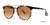 Tortoise Vera Wang V484 Sunglasses.