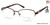 Matte Dark Brown Viva VV8006 Eyeglasses