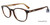 Tortoise (0722) Police VPLD04 Eyeglasses.