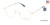 Cream/Gold William Morris Charles Stone NY CSNY30069 Eyeglasses