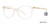 Light Brown Vivid Collection Vivid 930 Eyeglasses.