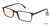 Brown Ted Baker B873 Eyeglasses