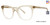 Chiffon Gradient Vera Wang V584 Eyeglasses.