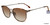 Tortoise Lozza SL2303M Sunglasses