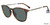 Tortoise Lozza SL4159M Sunglasses