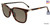 Tortoise Lozza SL4160M Sunglasses