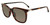 Tortoise Lozza SL4160M Sunglasses