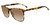 Tortoise Lozza SL4162M Sunglasses