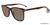 Tortoise/Grey Lozza SL4162M Sunglasses