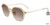 Gold Lozza SL4229 Sunglasses