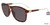 Brown Lozza SL4245 Sunglasses