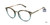 Teal L.A.M.B. LA087 Eyeglasses