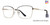 Black/With Gold Temples Vivid Expressions 1134 Eyeglasses