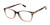 SUPERDRY SDOW006T Eyeglasses Brown