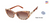 VICTOR GLEMAUD X TURA VGS010 Sunglasses Multi Amber