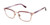 SUPERDRY SDOW010T Eyeglasses Purple