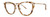 Blonde Tortoise                VERA WANG V721 Eyeglasses