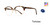 Tortoise         Brooklyn Heights Ty Eyeglasses 