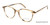 Havana/Crystal (C2) William Morris Charles Stone NY CSNY30005 Eyeglasses - Teenager