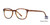 Brown Demi Elan 3014 Eyeglasses. 