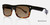 Black/Tortoise Kingsley HEX KRS008 Sunglasses.