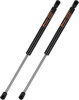 LadderProducts.com | Weather Guard Gas Spring Kit 7902-2PK