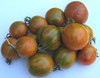 Red Zebra Tomato Seeds