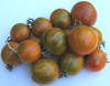 Red Zebra Tomato Seeds