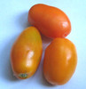 Golden Roma Tomato Seeds