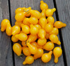 Yellow Pear Tomato Seeds