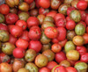 Spondias purpurea - Spanish Plum Seeds