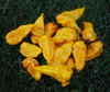 Datil Yellow Pepper Seeds