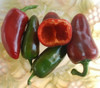 Pizza Pepper Seeds