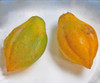 Carica pubescens - Mountain Papaya Seeds