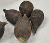 Round Black Spanish Radish Seeds