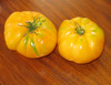 Persimmon Tomato Seeds Persimmon Tomato Seeds