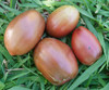 Ukrainian Purple Tomato Seeds Ukrainian Purple Tomato Seeds