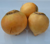 Gold Ball Turnip Seeds