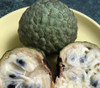Annona scleroderma - Poshe-te Seeds