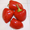 Pimiento Pepper Seeds