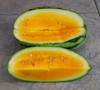Orangeglo Watermelon Seeds