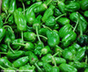 Padron Pepper Seeds