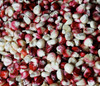 Hopi Pink Corn Seeds