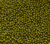Mung Bean Seeds