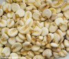 Giant Inca White Corn Seeds