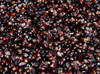 Dakota Black Popcorn Seeds