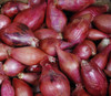 Long Red Florence Onion Seeds
